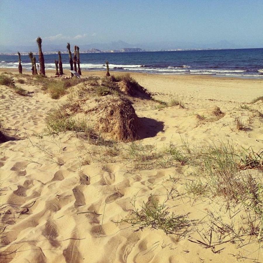 Playa El Altet